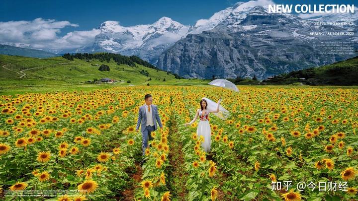 婚纱照草坪季节_草坪婚纱照_婚纱草坪季节照片图片